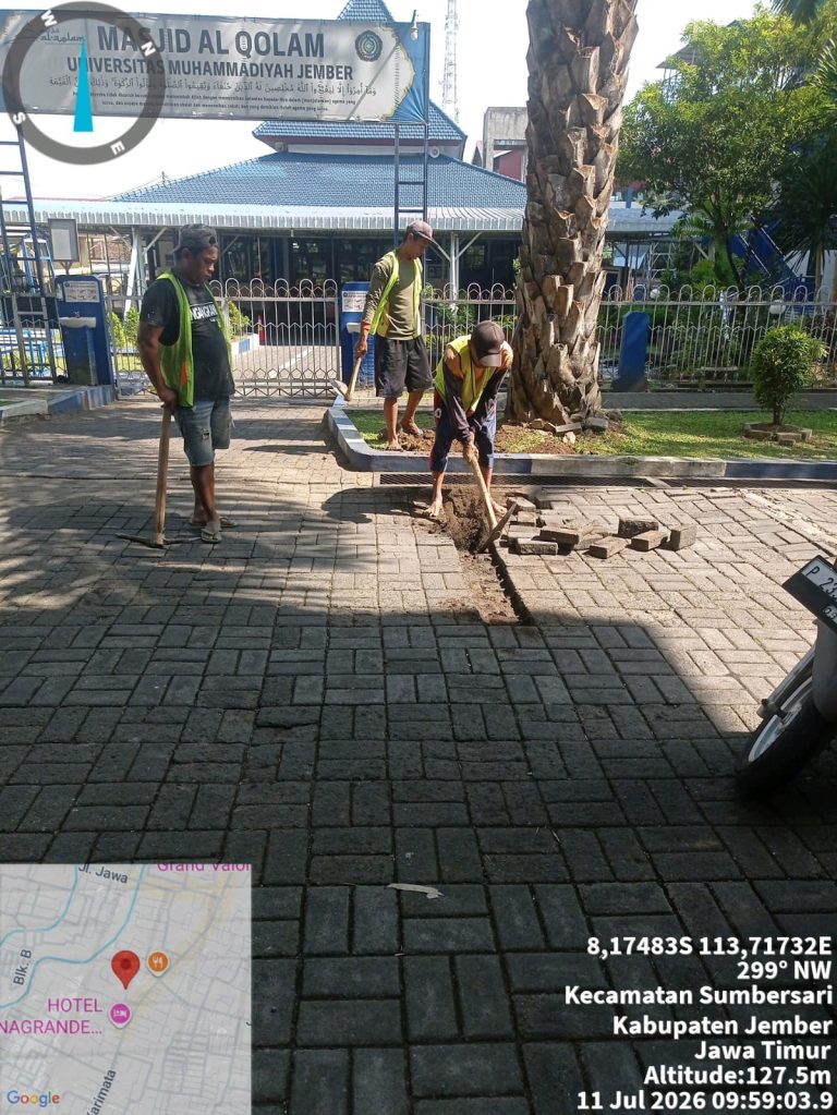 WhatsApp Image 2026-07-11 at 09.59.30